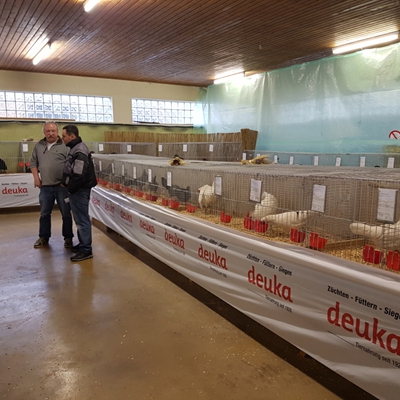 2019 Verkaufsschau
